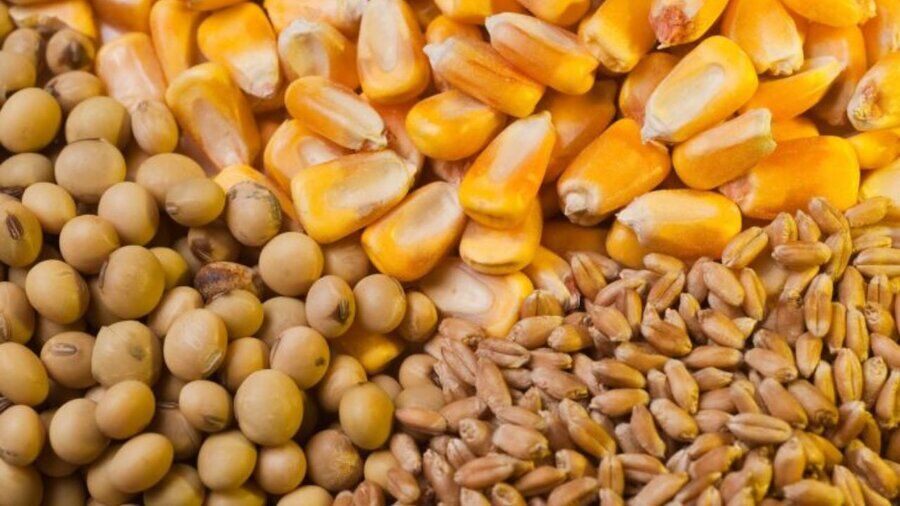 ابلاغ جدیدترین سقف ارزی قیمت نهاده ها، غلات، دانه های روغنی و روغن خام